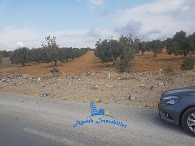 مخطط العقار