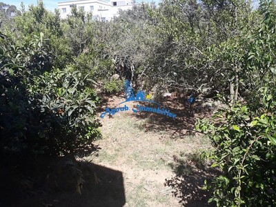 مخطط العقار