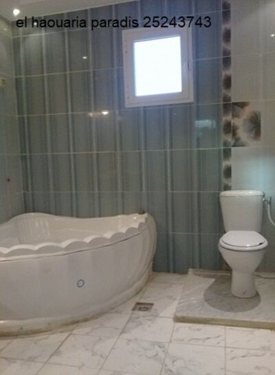 مخطط العقار