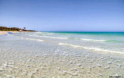 مخطط العقار