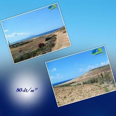 مخطط العقار