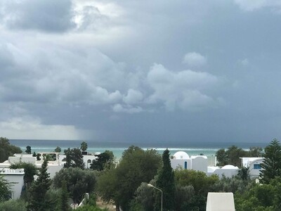 مخطط العقار
