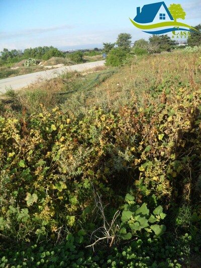 مخطط العقار