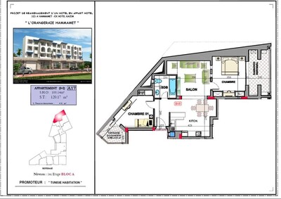 مخطط العقار