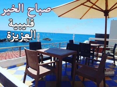 مخطط العقار