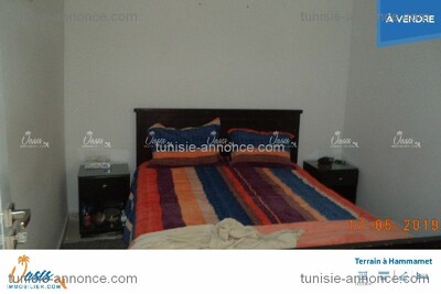 مخطط العقار