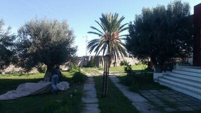 مخطط العقار