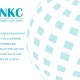 Immo CONSULTING