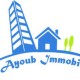 ayoub immobilier